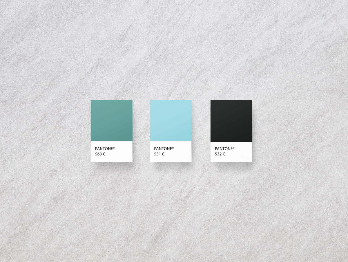 modern acupuncture branding and web design by Shelley Easter, color palette